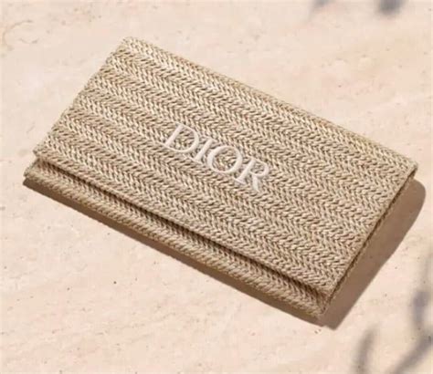 riviera pouch dior|dioriviera clothing.